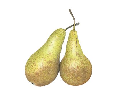Conference-Pears
